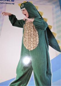 Kids Costumes to Hire - Dinosaur & Headpce - CHILD